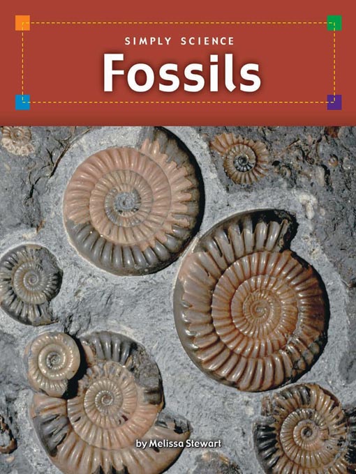 Title details for Fossils by Melissa Stewart - Available
